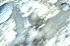 Cherubino